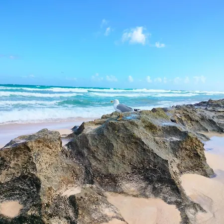 Casa Lena Americas * Corralejo