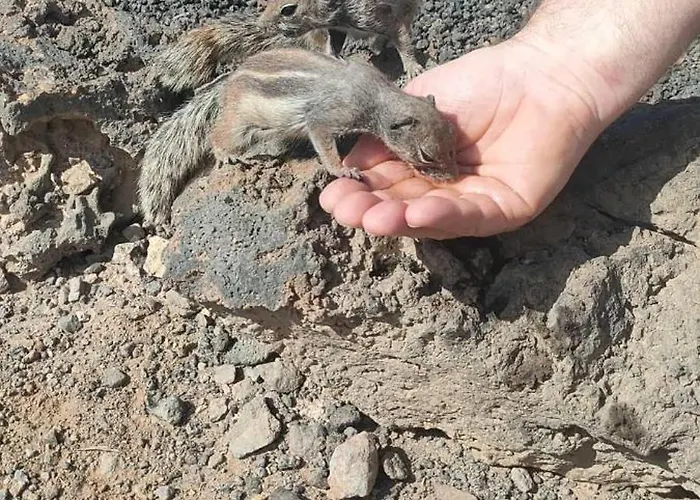 Βίλα Casa Lena Americas *